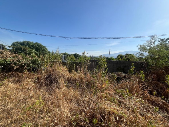 Third image of 5 Newleigh Avenue in Kingston 10, St. Andrew, Jamaica - property is For Sale