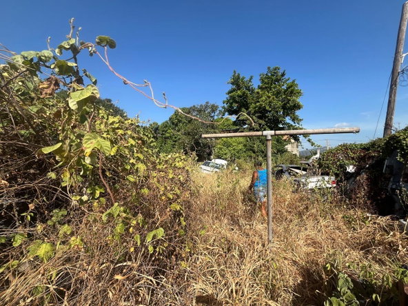 Fourth image of 5 Newleigh Avenue in Kingston 10, St. Andrew, Jamaica - property is For Sale