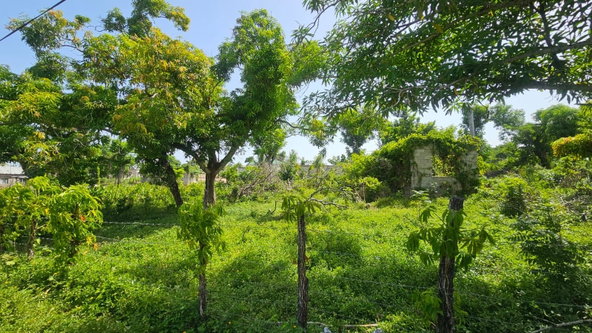 Fourth image of Lacovia in Lacovia, St. Elizabeth, Jamaica - property is For Sale