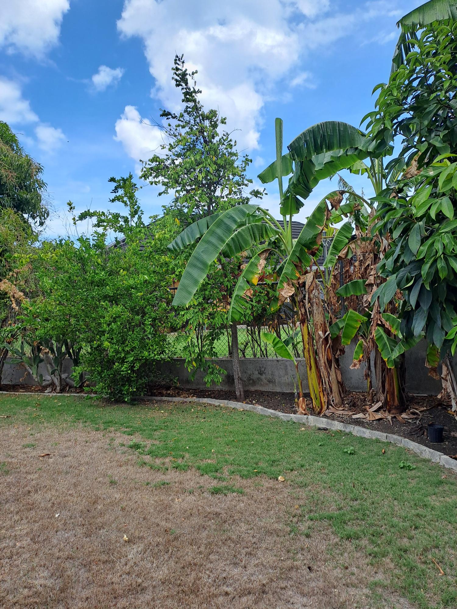 Fifteenth image of Gardenia Avenue in Richmond, St. Ann, Jamaica - property is For Sale