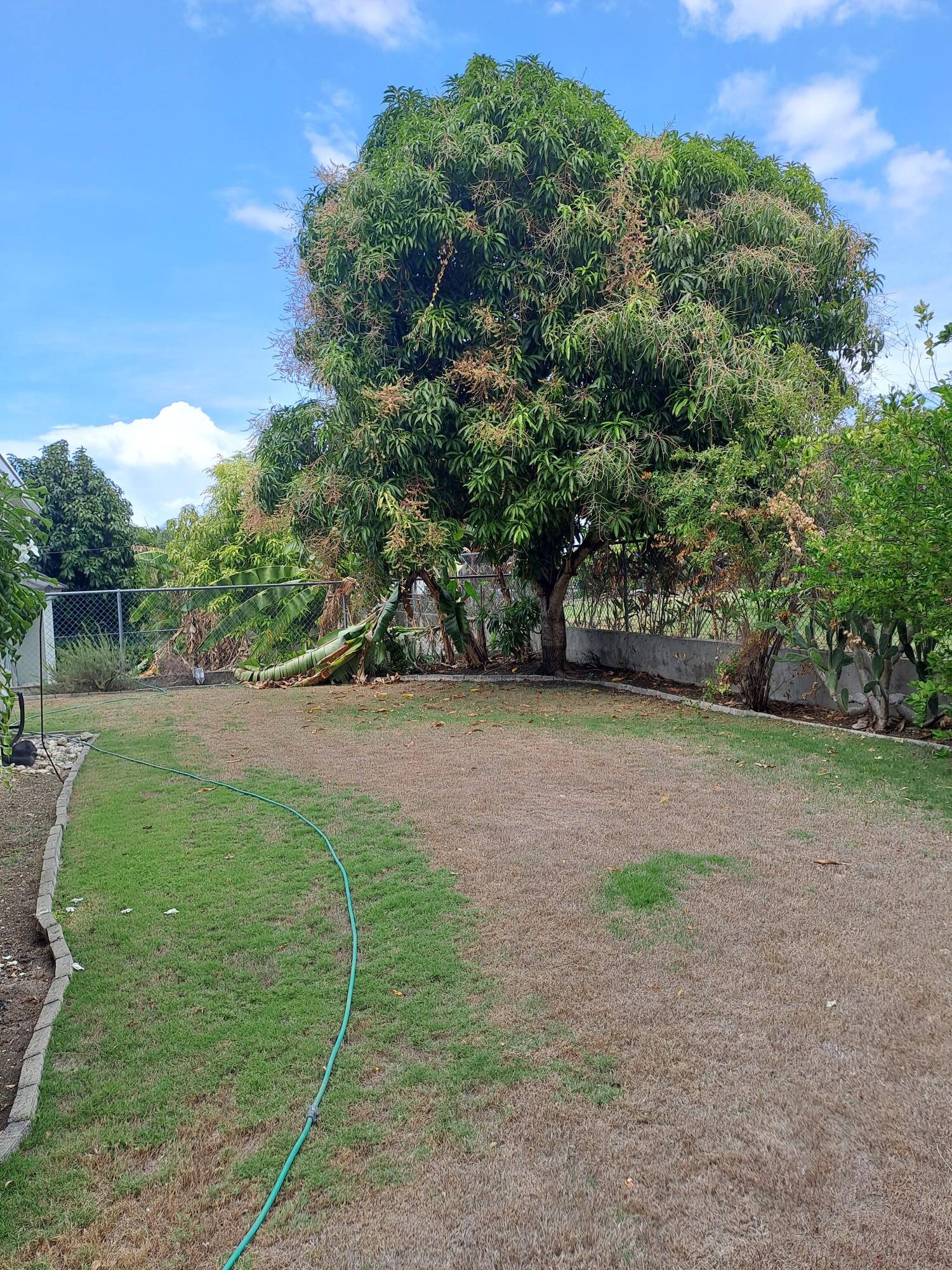 Sixteenth image of Gardenia Avenue in Richmond, St. Ann, Jamaica - property is For Sale