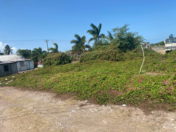 Fourth image of Part of Racecourse in Race Course, Clarendon, Jamaica - property is For Sale