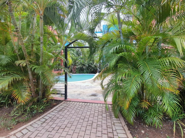 Second image of #2- 11 Musgrave Avenue in Kingston 10, St. Andrew, Jamaica - property is For Rent