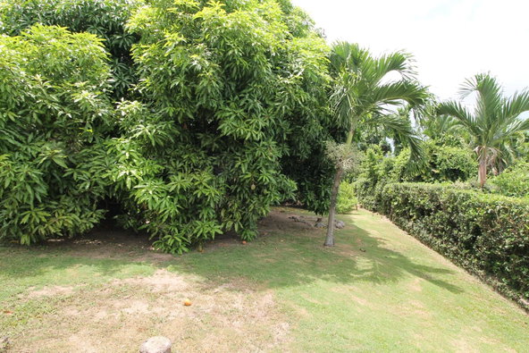 Eighth image of 26 Farringdon Heights in Kingston 6, St. Andrew, Jamaica - property is For Sale