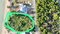 First image of Parottee, St. Elizabeth in Black River, St. Elizabeth, Jamaica - property is For Sale