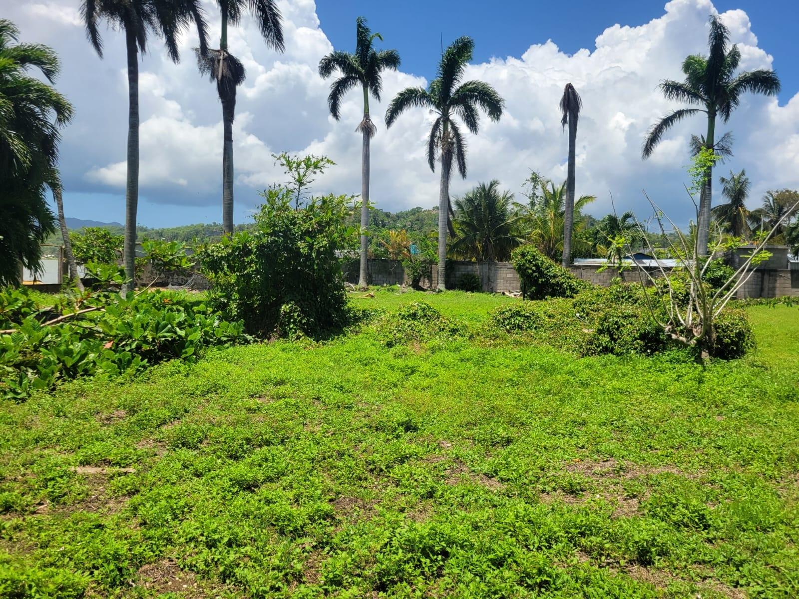 Twenty-First image of Church St,lucea, Hanover in Lucea, Hanover, Jamaica - property is For Sale