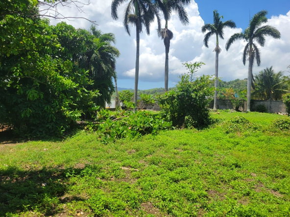 Twenty-Eighth image of Church St,lucea, Hanover in Lucea, Hanover, Jamaica - property is For Sale
