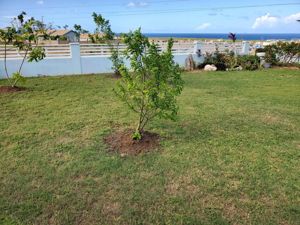 Twenty-Fifth image of 75- Toby Place, Camelot Villa in Discovery Bay, St. Ann, Jamaica - property is For Sale