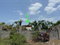 First image of Amity in Amity, Westmoreland, Jamaica - property is For Sale