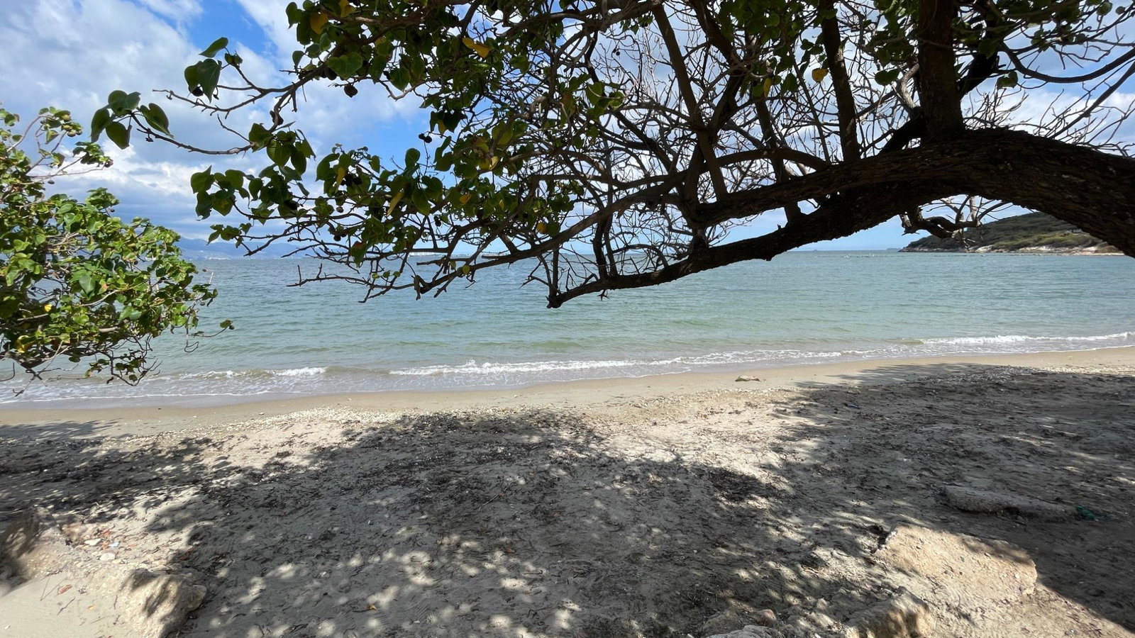 Twenty-Third image of Bayfront Apartments in Port Henderson, St. Catherine, Jamaica - property is For Rent