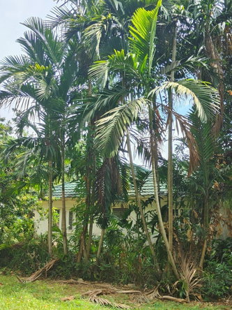 Seventeenth image of 10 Willow Run in Kingston 8, St. Andrew, Jamaica - property is For Sale