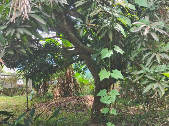 Twentieth image of 10 Willow Run in Kingston 8, St. Andrew, Jamaica - property is For Sale
