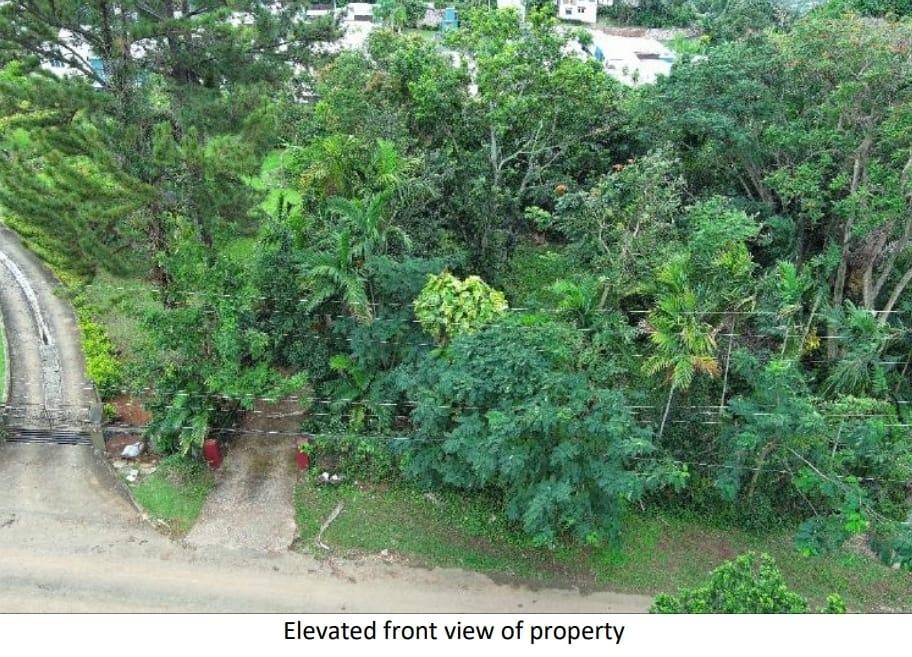 Eighth image of 10 Willow Run in Kingston 8, St. Andrew, Jamaica - property is For Sale