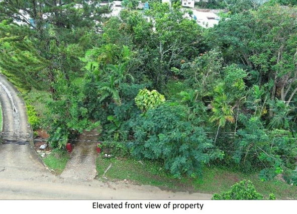 Eighth image of 10 Willow Run in Kingston 8, St. Andrew, Jamaica - property is For Sale