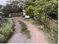 First image of Green Bottom in Sandy Bay, Clarendon, Jamaica - property is For Sale