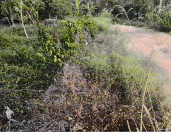 Fourth image of Green Bottom in Sandy Bay, Clarendon, Jamaica - property is For Sale