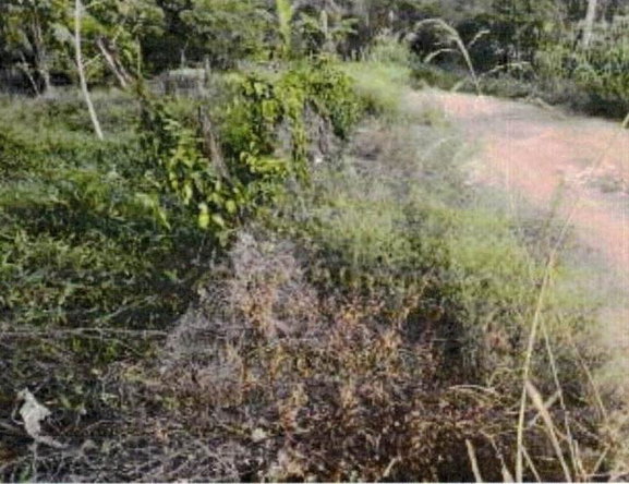 Fourth image of Green Bottom in Sandy Bay, Clarendon, Jamaica - property is For Sale