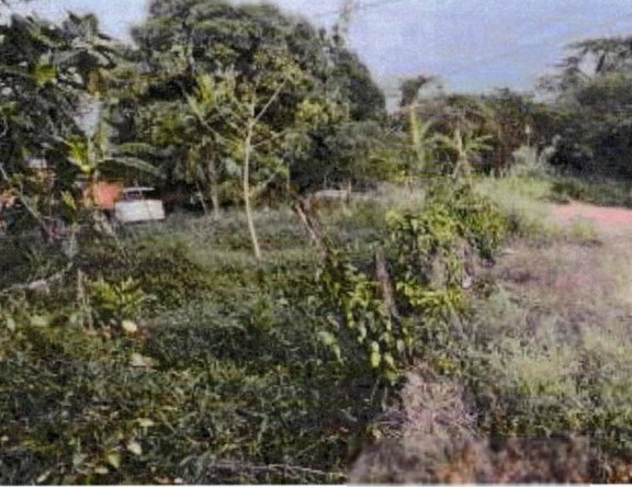 Fifth image of Green Bottom in Sandy Bay, Clarendon, Jamaica - property is For Sale