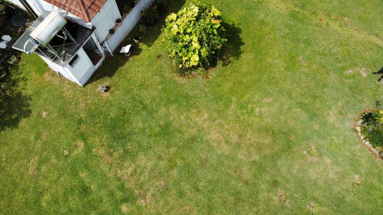 Tenth image of Dalkeith Great House, Kno in Knockpatrick, Manchester, Jamaica - property is For Sale