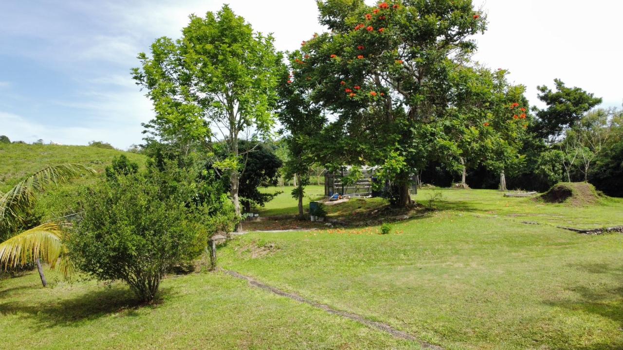 Fourteenth image of Dalkeith Great House, Kno in Knockpatrick, Manchester, Jamaica - property is For Sale