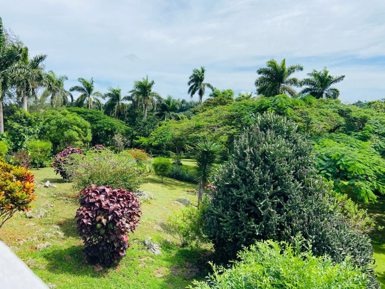 Eighteenth image of Dalkeith Great House, Kno in Knockpatrick, Manchester, Jamaica - property is For Sale
