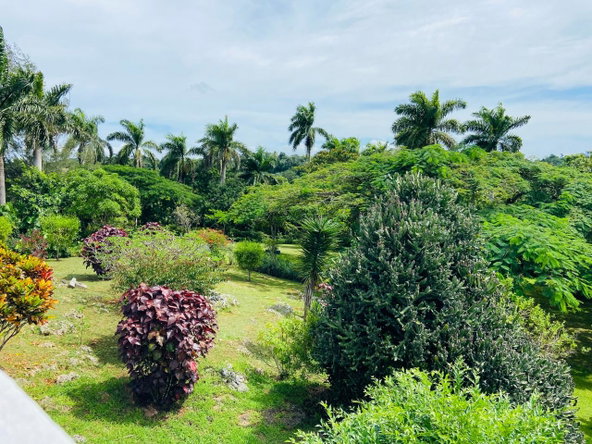 Eighteenth image of Dalkeith Great House, Kno in Knockpatrick, Manchester, Jamaica - property is For Sale