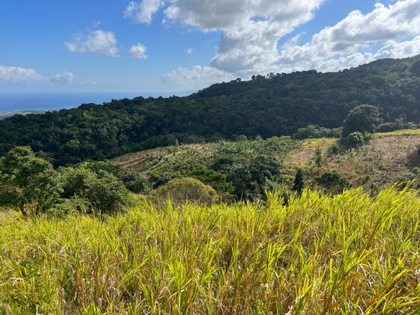 Twelfth image of Richmond- Sam Clark St. Ann in Laughlands, St. Ann, Jamaica - property is For Sale