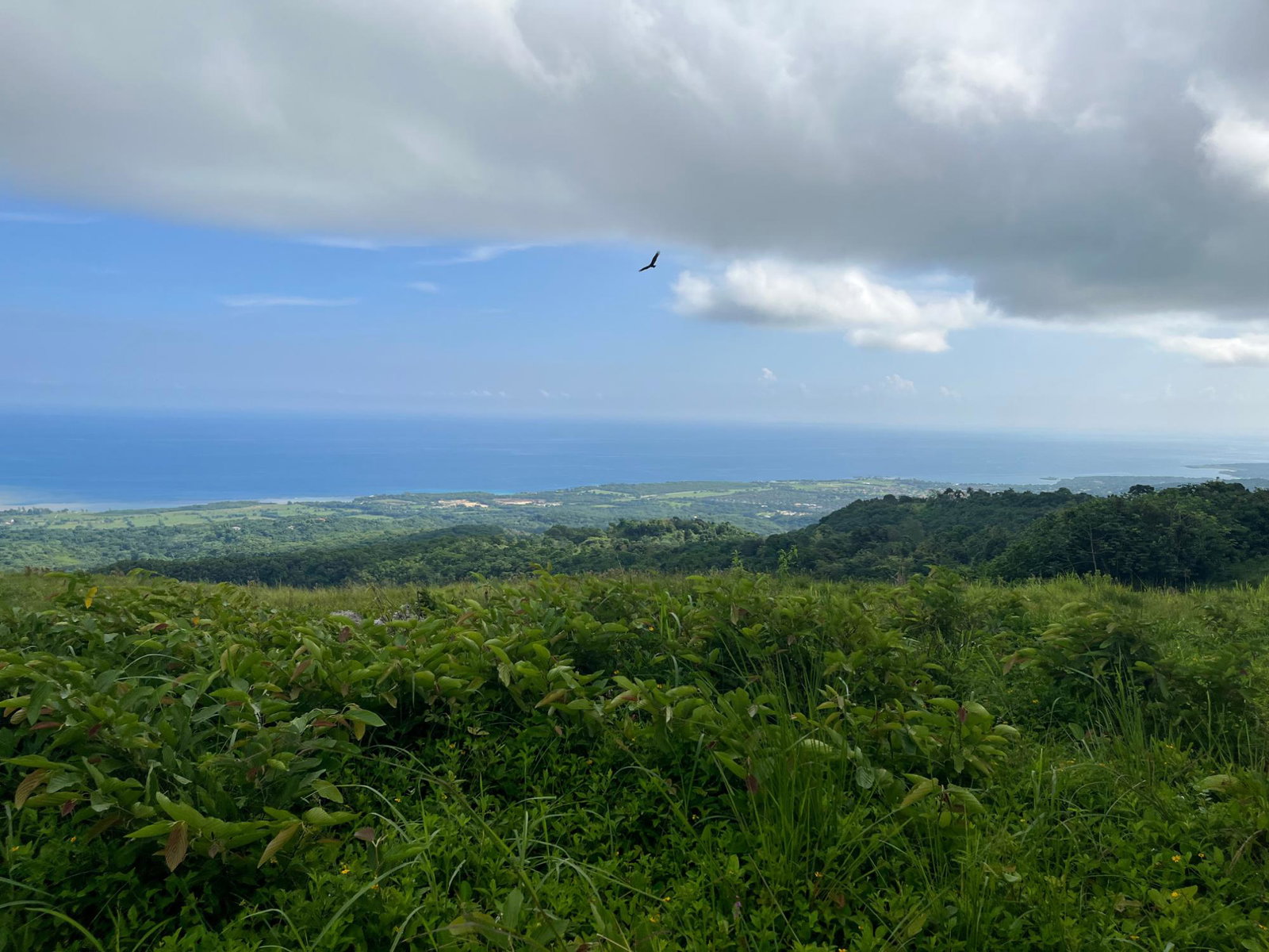 Thirteenth image of Richmond- Sam Clark St. Ann in Laughlands, St. Ann, Jamaica - property is For Sale
