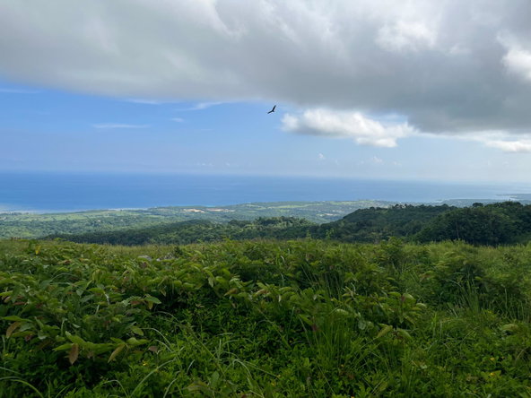 Thirteenth image of Richmond- Sam Clark St. Ann in Laughlands, St. Ann, Jamaica - property is For Sale