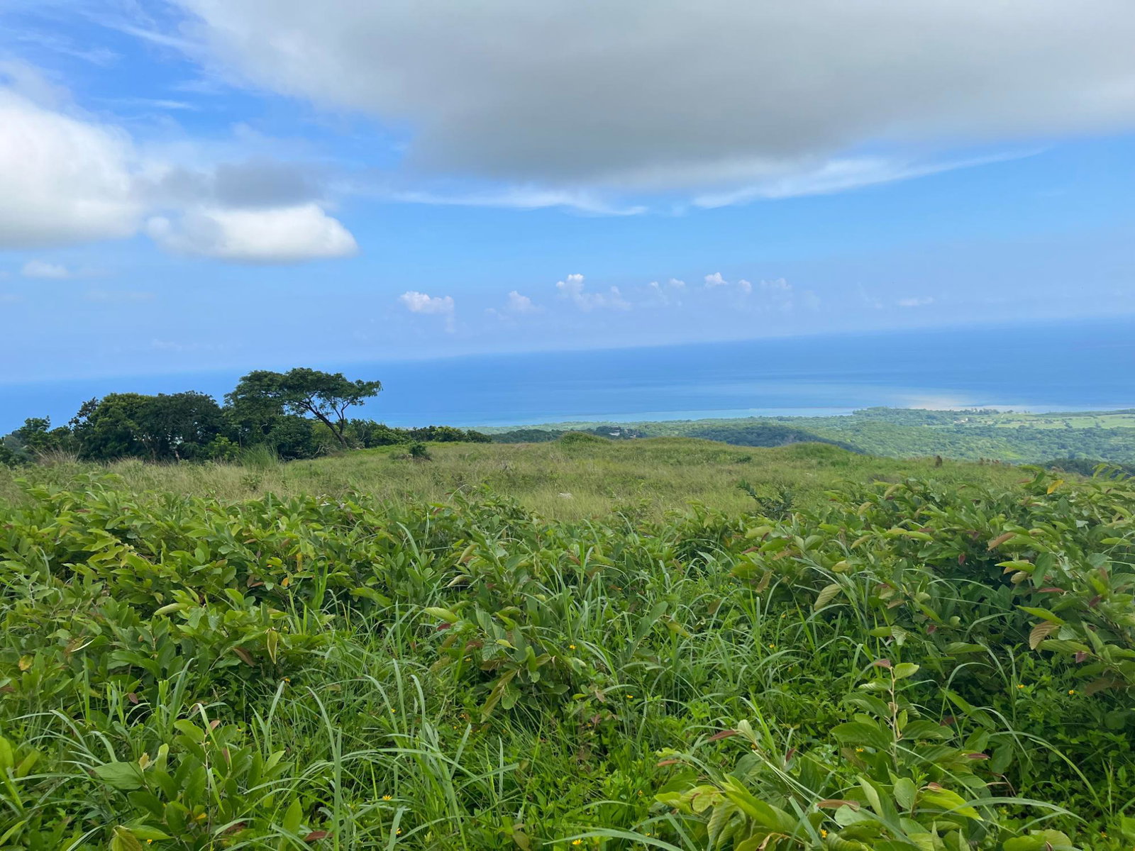 Fourteenth image of Richmond- Sam Clark St. Ann in Laughlands, St. Ann, Jamaica - property is For Sale