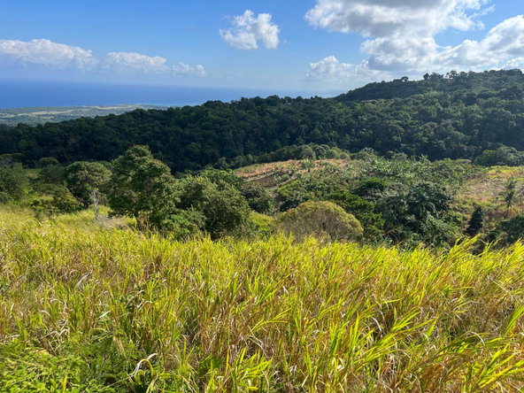 Fifteenth image of Richmond- Sam Clark St. Ann in Laughlands, St. Ann, Jamaica - property is For Sale