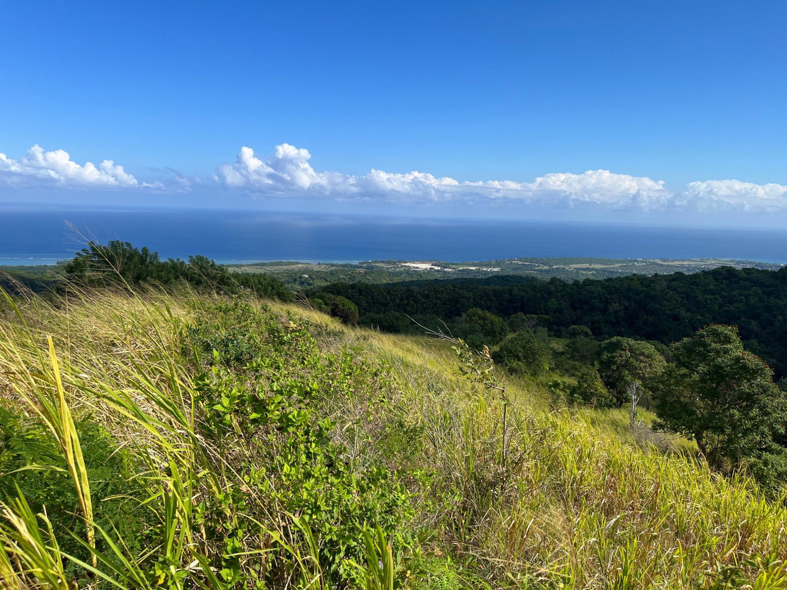 Sixteenth image of Richmond- Sam Clark St. Ann in Laughlands, St. Ann, Jamaica - property is For Sale