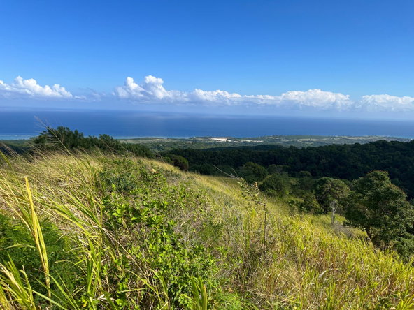 Sixteenth image of Richmond- Sam Clark St. Ann in Laughlands, St. Ann, Jamaica - property is For Sale