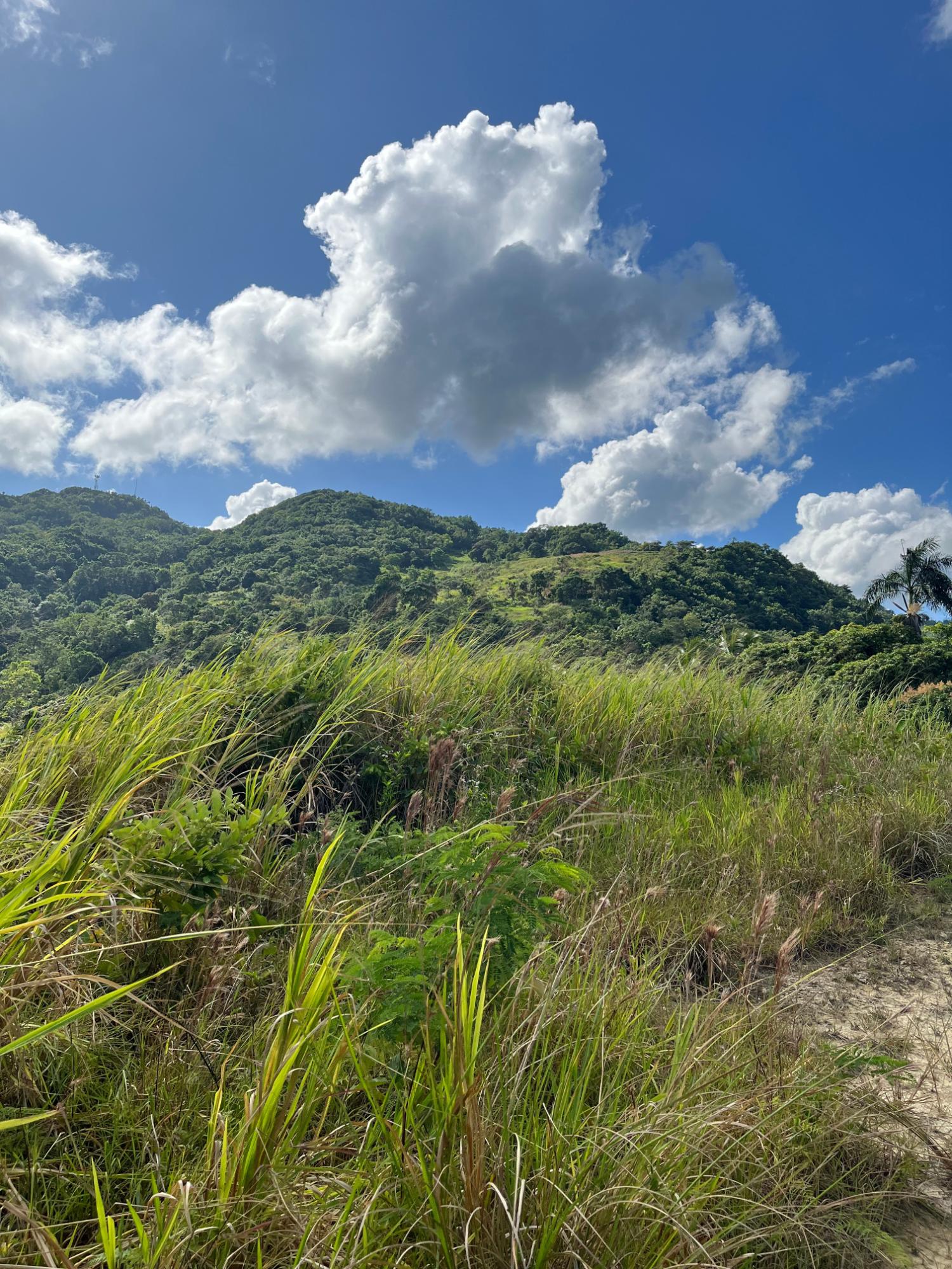 Eighteenth image of Richmond- Sam Clark St. Ann in Laughlands, St. Ann, Jamaica - property is For Sale