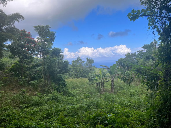 Nineteenth image of Richmond- Sam Clark St. Ann in Laughlands, St. Ann, Jamaica - property is For Sale