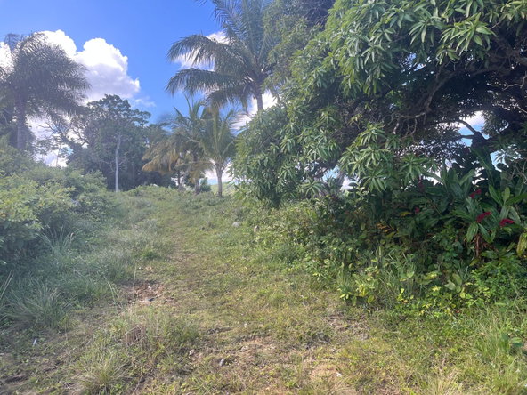 Twentieth image of Richmond- Sam Clark St. Ann in Laughlands, St. Ann, Jamaica - property is For Sale