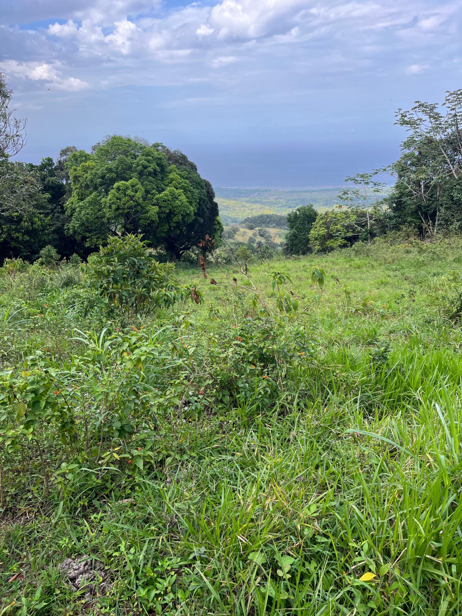 Twenty-First image of Richmond- Sam Clark St. Ann in Laughlands, St. Ann, Jamaica - property is For Sale