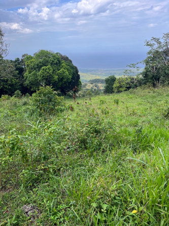 Twenty-First image of Richmond- Sam Clark St. Ann in Laughlands, St. Ann, Jamaica - property is For Sale