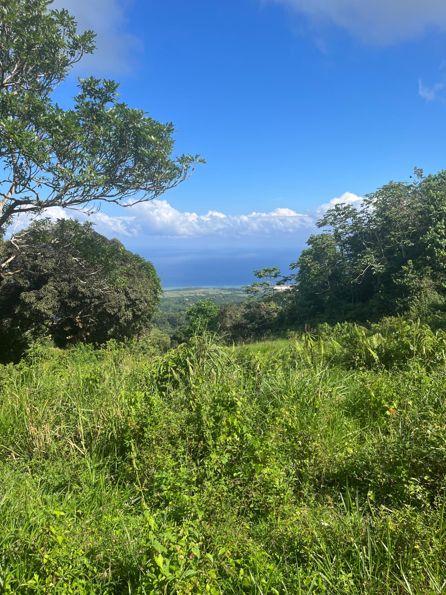 Twenty-Second image of Richmond- Sam Clark St. Ann in Laughlands, St. Ann, Jamaica - property is For Sale