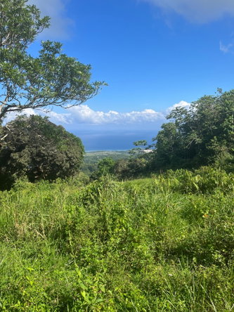 Twenty-Second image of Richmond- Sam Clark St. Ann in Laughlands, St. Ann, Jamaica - property is For Sale