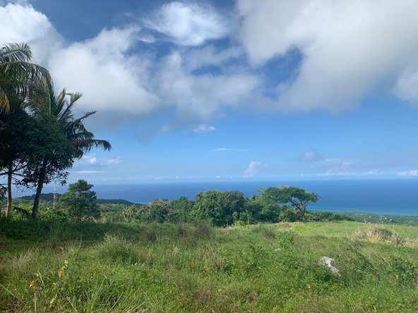 Third image of Richmond- Sam Clark St. Ann in Laughlands, St. Ann, Jamaica - property is For Sale