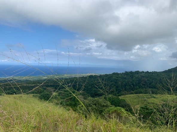 Fourth image of Richmond- Sam Clark St. Ann in Laughlands, St. Ann, Jamaica - property is For Sale