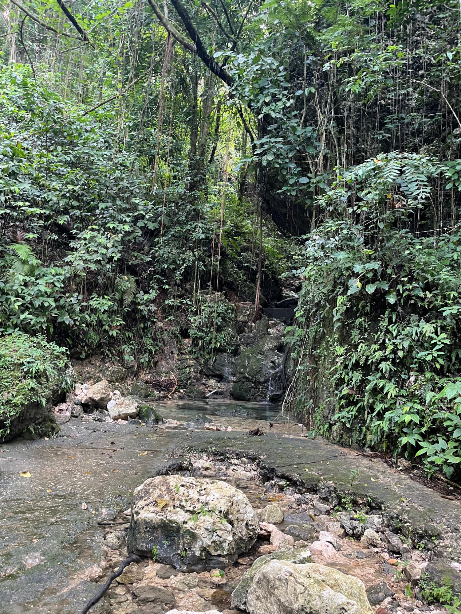 Fifth image of Richmond- Sam Clark St. Ann in Laughlands, St. Ann, Jamaica - property is For Sale