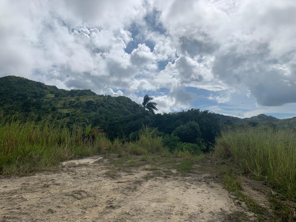 Eighth image of Richmond- Sam Clark St. Ann in Laughlands, St. Ann, Jamaica - property is For Sale