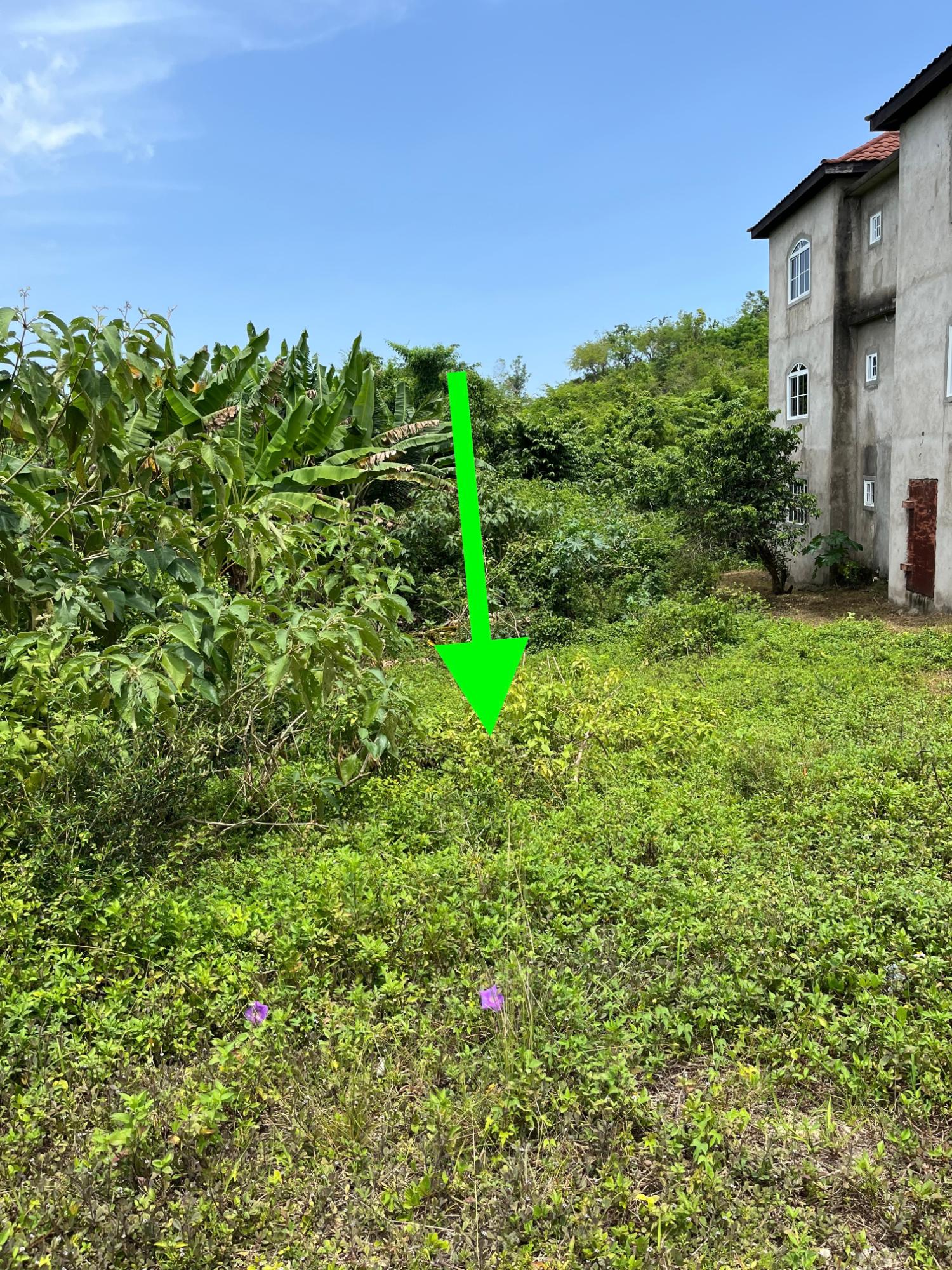 Second image of White Hall, Negril in Negril, Westmoreland, Jamaica - property is For Sale