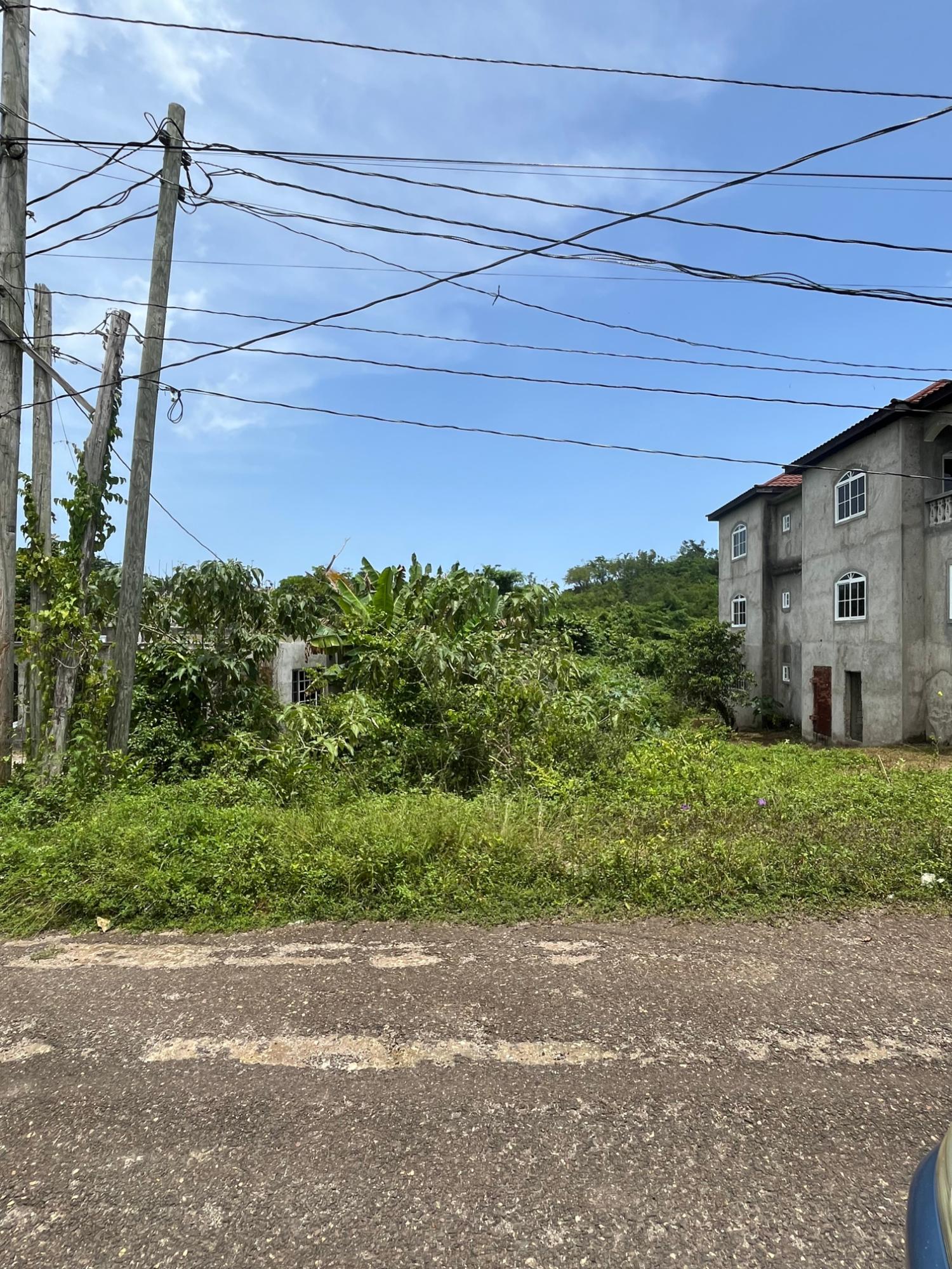 Seventh image of White Hall, Negril in Negril, Westmoreland, Jamaica - property is For Sale