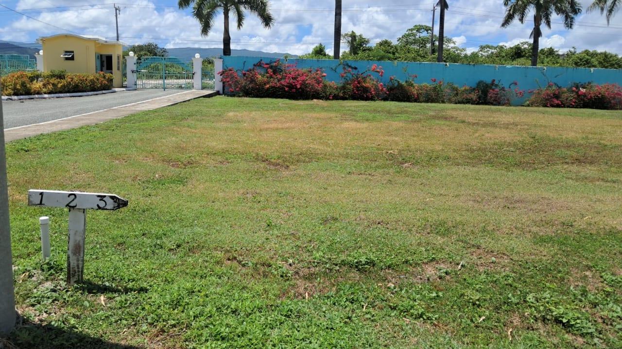 Seventeenth image of Lot 5 Lower Fair Prospect in Fairy Hill, Portland, Jamaica - property is For Sale