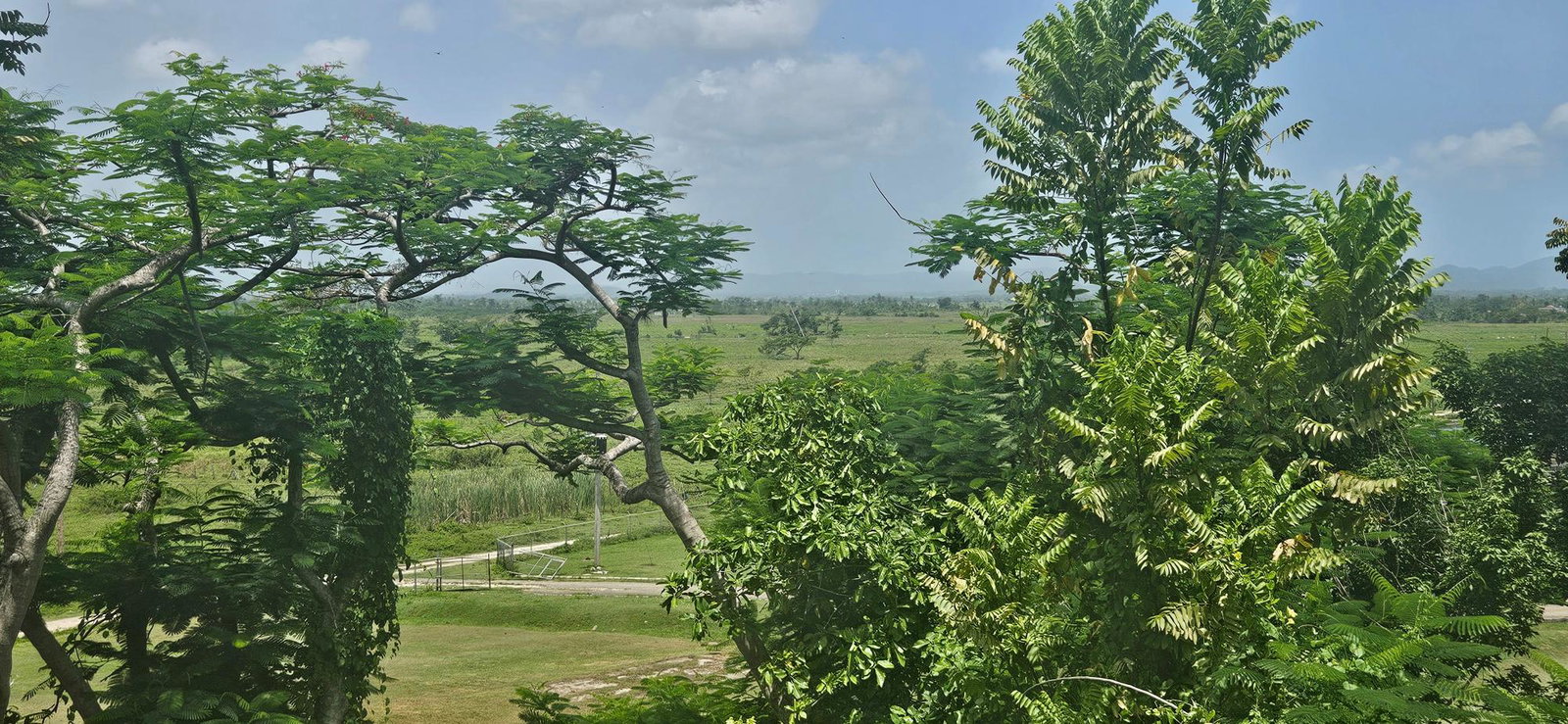 Tenth image of Roaring River in Roaring River, Westmoreland, Jamaica - property is For Sale