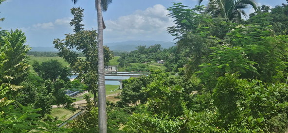 Eleventh image of Roaring River in Roaring River, Westmoreland, Jamaica - property is For Sale