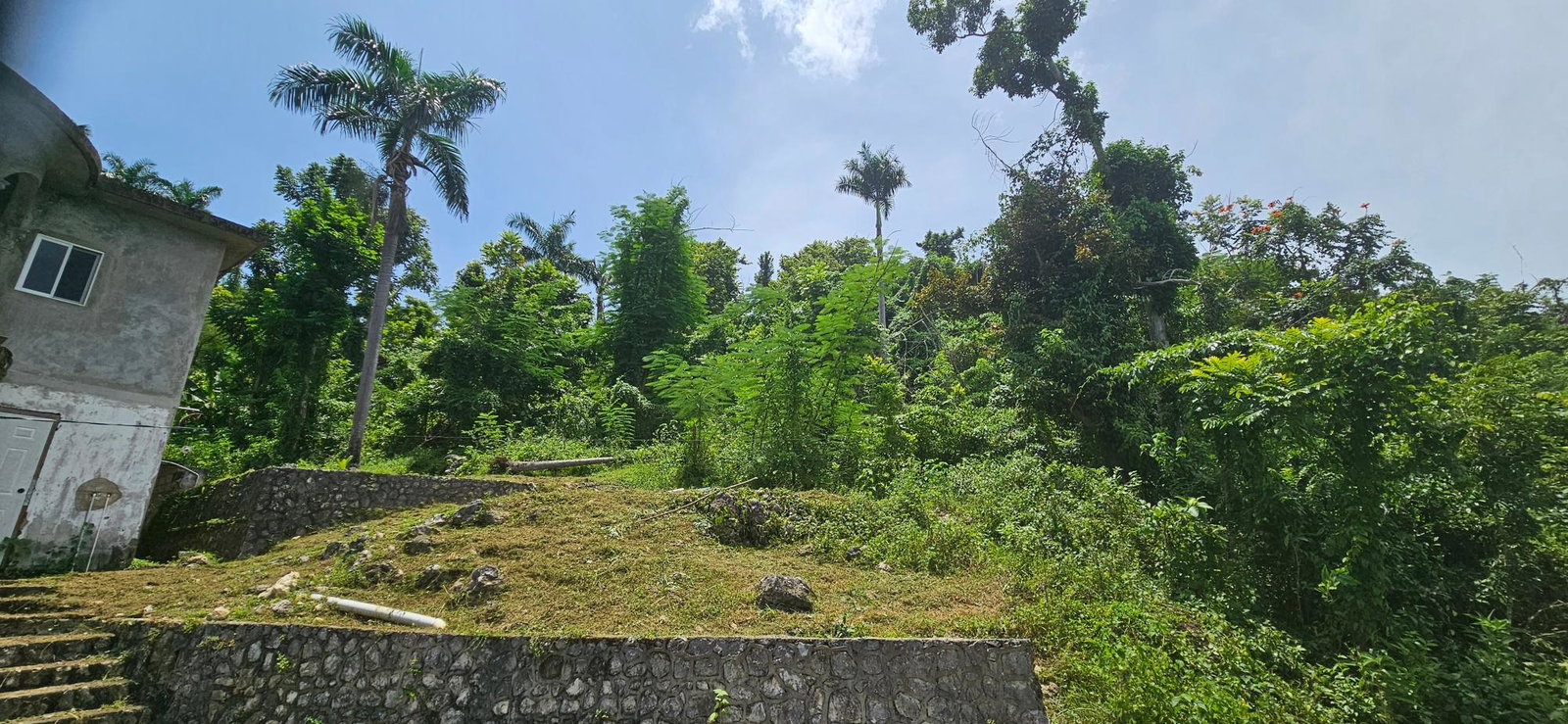 Thirteenth image of Roaring River in Roaring River, Westmoreland, Jamaica - property is For Sale